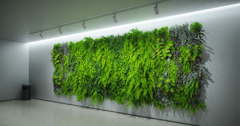 Ledra: Lighting for Living Walls and Horticultural Features